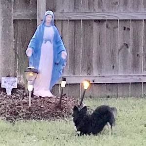 Meet your Posher, Stacy